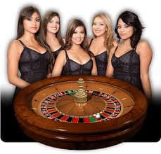 y04 Sportsbook